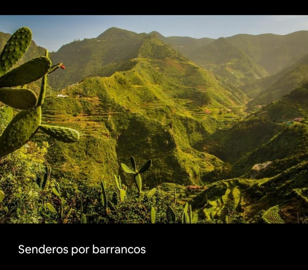 Playa Benijo Paraiso Rural Trail سانتا كروز دي تينيريف المظهر الخارجي الصورة
